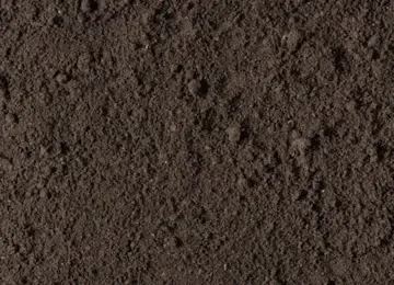 Screened Topsoil